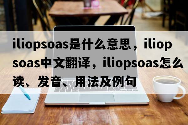 iliopsoas是什么意思，iliopsoas中文翻译，iliopsoas怎么读、发音、用法及例句