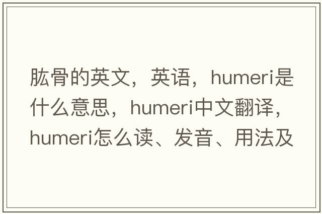 肱骨的英文，英语，humeri是什么意思，humeri中文翻译，humeri怎么读、发音、用法及例句