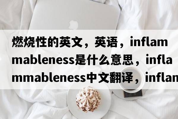 燃烧性的英文，英语，inflammableness是什么意思，inflammableness中文翻译，inflammableness怎么读、发音、用法及例句