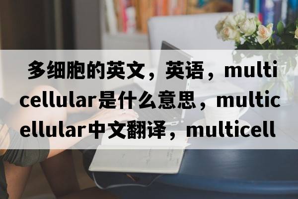  多细胞的英文，英语，multicellular是什么意思，multicellular中文翻译，multicellular怎么读、发音、用法及例句