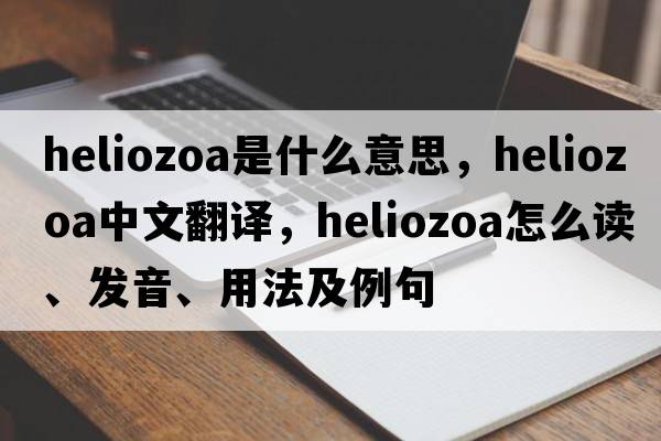 Heliozoa是什么意思，Heliozoa中文翻译，Heliozoa怎么读、发音、用法及例句