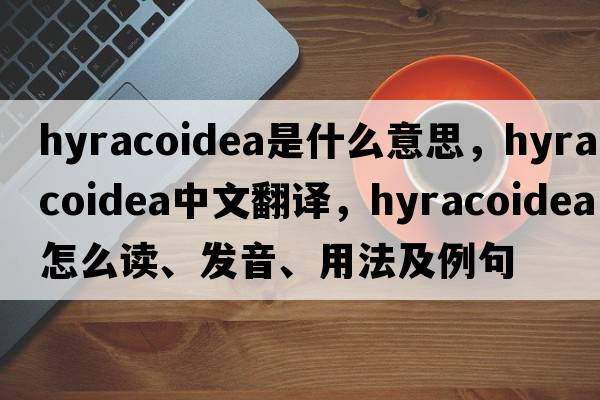 Hyracoidea是什么意思，Hyracoidea中文翻译，Hyracoidea怎么读、发音、用法及例句