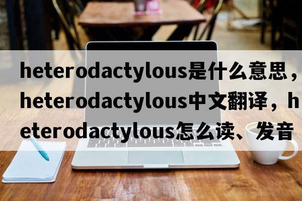 heterodactylous是什么意思，heterodactylous中文翻译，heterodactylous怎么读、发音、用法及例句