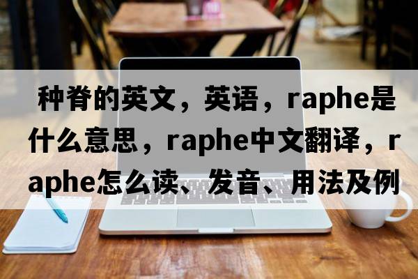  种脊的英文，英语，raphe是什么意思，raphe中文翻译，raphe怎么读、发音、用法及例句