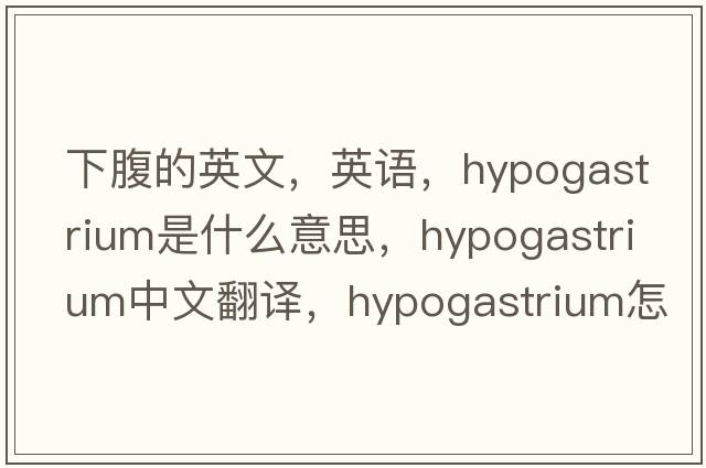 下腹的英文，英语，hypogastrium是什么意思，hypogastrium中文翻译，hypogastrium怎么读、发音、用法及例句