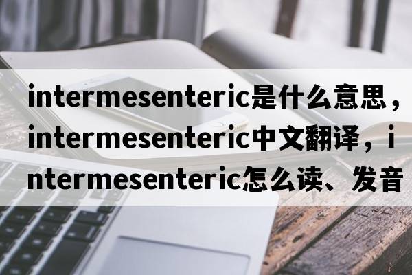 intermesenteric是什么意思，intermesenteric中文翻译，intermesenteric怎么读、发音、用法及例句