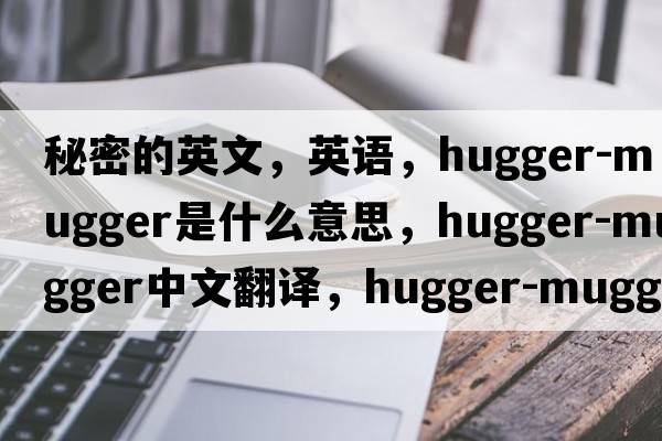 秘密的英文，英语，hugger-mugger是什么意思，hugger-mugger中文翻译，hugger-mugger怎么读、发音、用法及例句