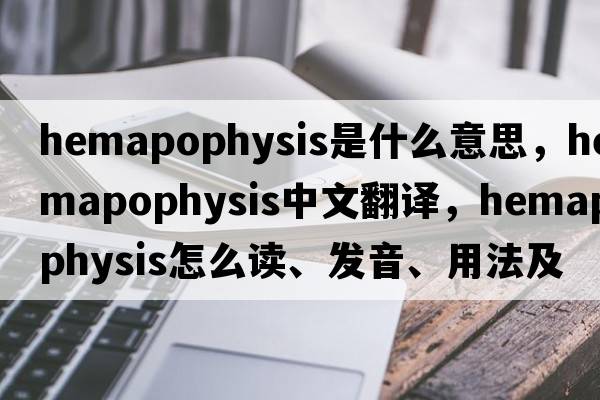 hemapophysis是什么意思，hemapophysis中文翻译，hemapophysis怎么读、发音、用法及例句