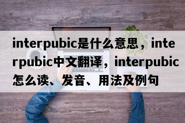 interpubic是什么意思，interpubic中文翻译，interpubic怎么读、发音、用法及例句