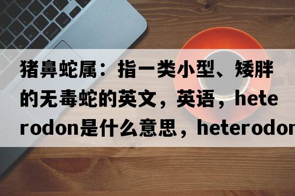 猪鼻蛇属：指一类小型、矮胖的无毒蛇的英文，英语，Heterodon是什么意思，Heterodon中文翻译，Heterodon怎么读、发音、用法及例句