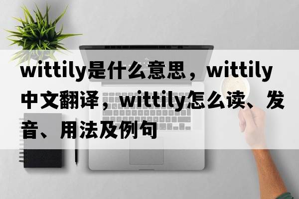 wittily是什么意思，wittily中文翻译，wittily怎么读、发音、用法及例句