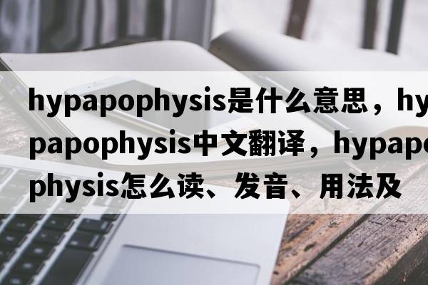 hypapophysis是什么意思，hypapophysis中文翻译，hypapophysis怎么读、发音、用法及例句