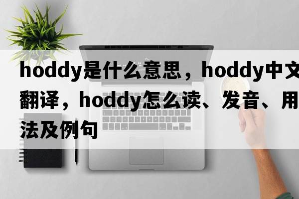 hoddy是什么意思，hoddy中文翻译，hoddy怎么读、发音、用法及例句