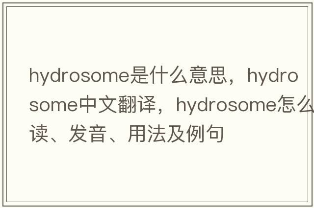 hydrosome是什么意思，hydrosome中文翻译，hydrosome怎么读、发音、用法及例句