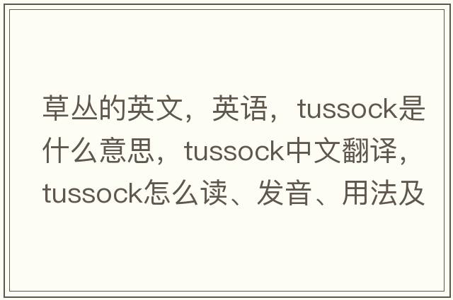 草丛的英文，英语，tussock是什么意思，tussock中文翻译，tussock怎么读、发音、用法及例句