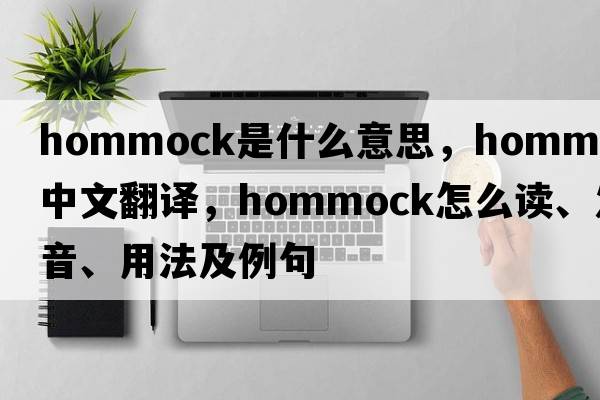 hommock是什么意思，hommock中文翻译，hommock怎么读、发音、用法及例句