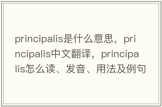 principalis是什么意思，principalis中文翻译，principalis怎么读、发音、用法及例句