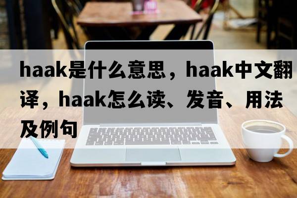 Haak是什么意思，Haak中文翻译，Haak怎么读、发音、用法及例句