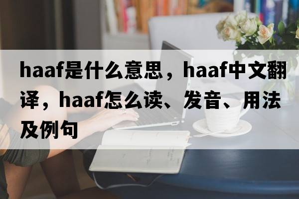 haaf是什么意思，haaf中文翻译，haaf怎么读、发音、用法及例句