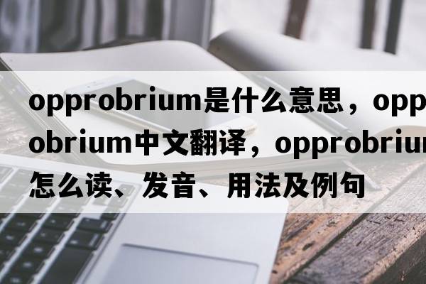 opprobrium是什么意思，opprobrium中文翻译，opprobrium怎么读、发音、用法及例句