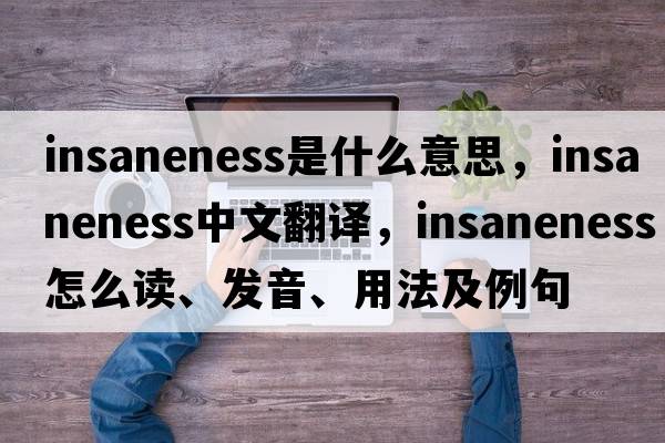 insaneness是什么意思，insaneness中文翻译，insaneness怎么读、发音、用法及例句