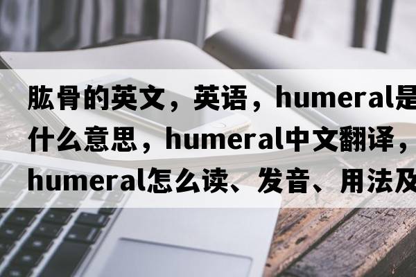 肱骨的英文，英语，humeral是什么意思，humeral中文翻译，humeral怎么读、发音、用法及例句