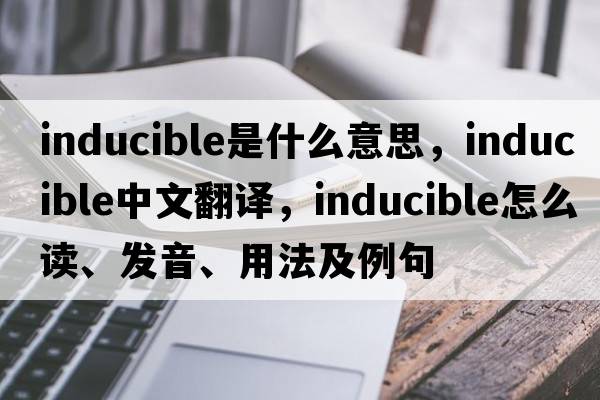 inducible是什么意思，inducible中文翻译，inducible怎么读、发音、用法及例句