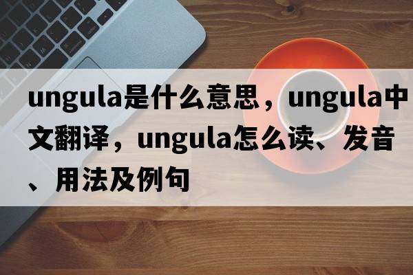 ungula是什么意思，ungula中文翻译，ungula怎么读、发音、用法及例句