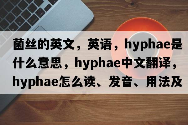 菌丝的英文，英语，hyphae是什么意思，hyphae中文翻译，hyphae怎么读、发音、用法及例句