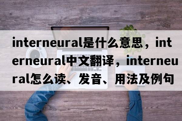 interneural是什么意思，interneural中文翻译，interneural怎么读、发音、用法及例句