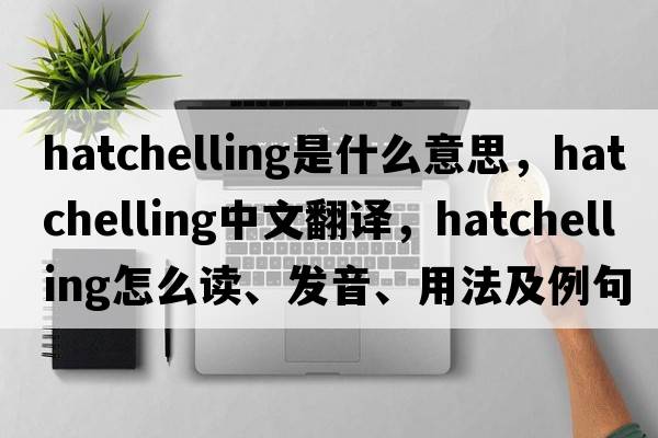 hatchelling是什么意思，hatchelling中文翻译，hatchelling怎么读、发音、用法及例句