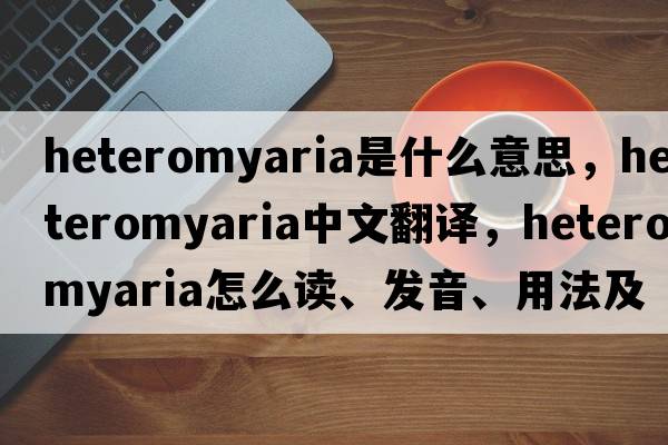 heteromyaria是什么意思，heteromyaria中文翻译，heteromyaria怎么读、发音、用法及例句