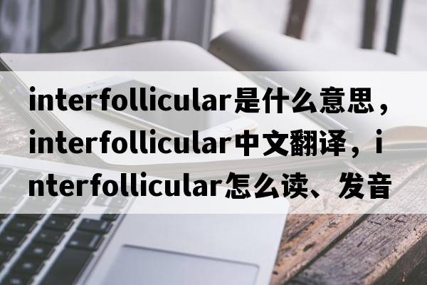 interfollicular是什么意思，interfollicular中文翻译，interfollicular怎么读、发音、用法及例句