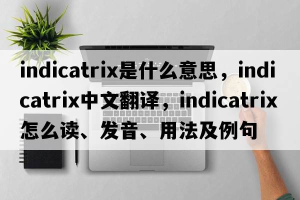 indicatrix是什么意思，indicatrix中文翻译，indicatrix怎么读、发音、用法及例句