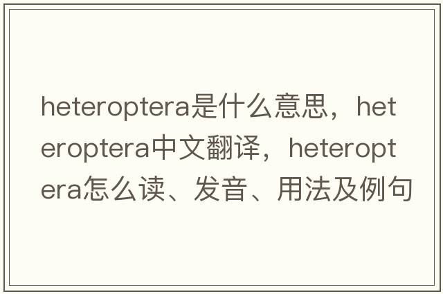 Heteroptera是什么意思，Heteroptera中文翻译，Heteroptera怎么读、发音、用法及例句