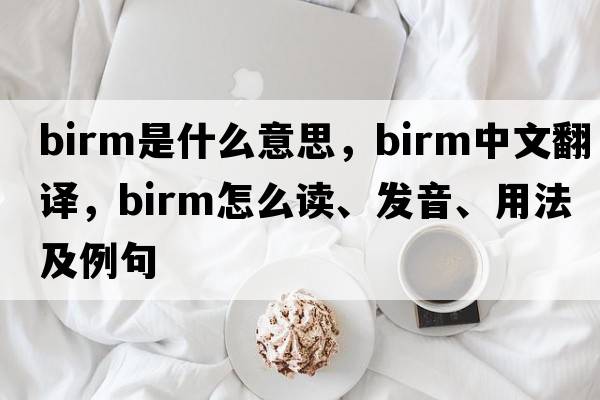 Birm是什么意思，Birm中文翻译，Birm怎么读、发音、用法及例句