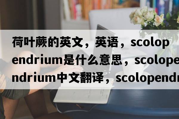 荷叶蕨的英文，英语，scolopendrium是什么意思，scolopendrium中文翻译，scolopendrium怎么读、发音、用法及例句