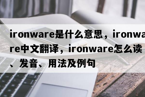 ironware是什么意思，ironware中文翻译，ironware怎么读、发音、用法及例句