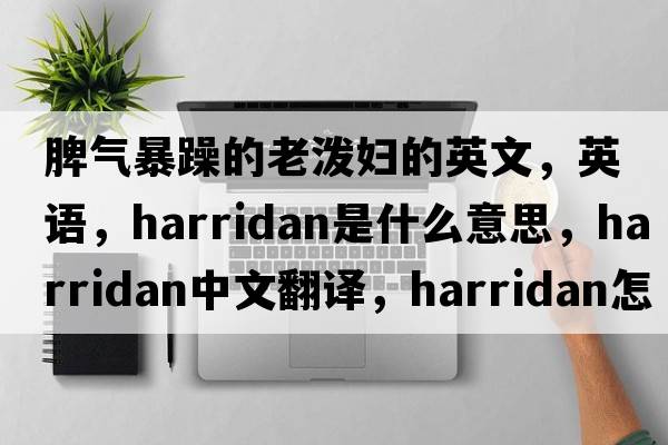 脾气暴躁的老泼妇的英文，英语，harridan是什么意思，harridan中文翻译，harridan怎么读、发音、用法及例句