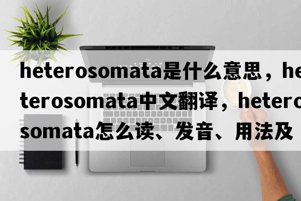 Heterosomata是什么意思，Heterosomata中文翻译，Heterosomata怎么读、发音、用法及例句