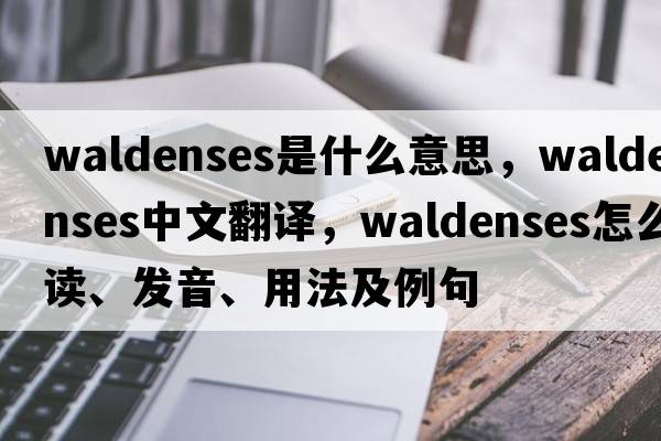 Waldenses是什么意思，Waldenses中文翻译，Waldenses怎么读、发音、用法及例句