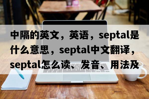 中隔的英文，英语，septal是什么意思，septal中文翻译，septal怎么读、发音、用法及例句