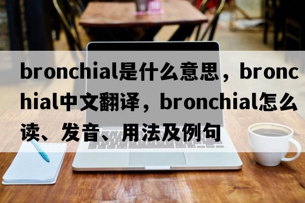 bronchial是什么意思，bronchial中文翻译，bronchial怎么读、发音、用法及例句