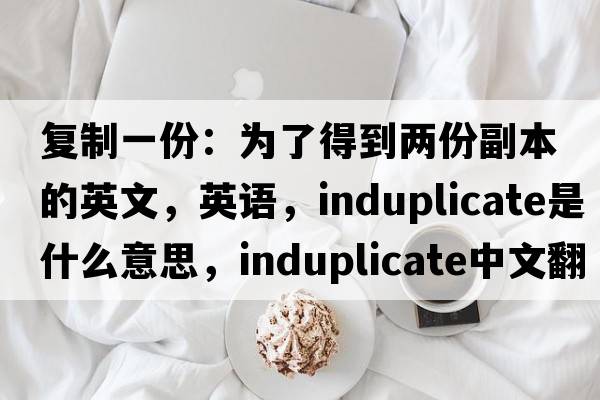 复制一份：为了得到两份副本的英文，英语，induplicate是什么意思，induplicate中文翻译，induplicate怎么读、发音、用法及例句