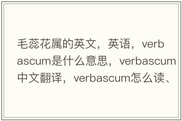 毛蕊花属的英文，英语，Verbascum是什么意思，Verbascum中文翻译，Verbascum怎么读、发音、用法及例句