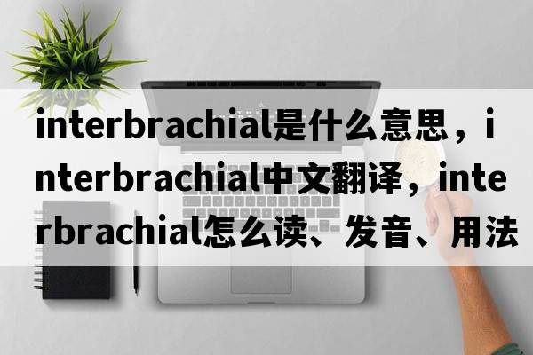 interbrachial是什么意思，interbrachial中文翻译，interbrachial怎么读、发音、用法及例句