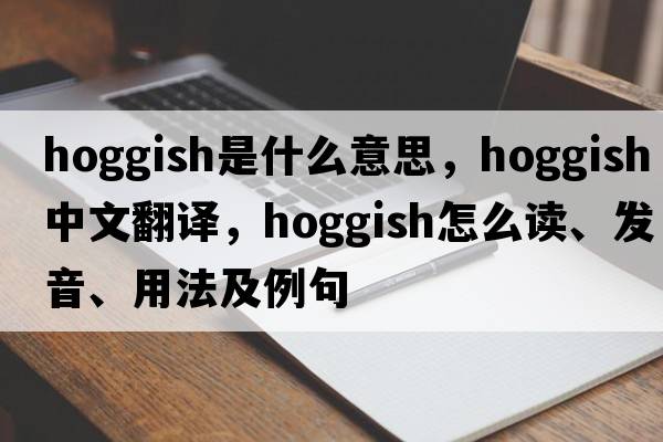 hoggish是什么意思，hoggish中文翻译，hoggish怎么读、发音、用法及例句