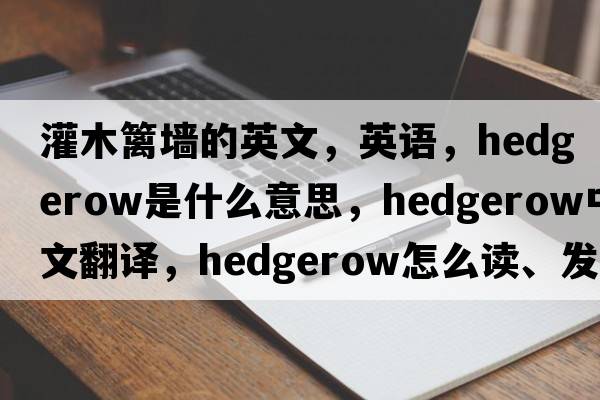 灌木篱墙的英文，英语，hedgerow是什么意思，hedgerow中文翻译，hedgerow怎么读、发音、用法及例句