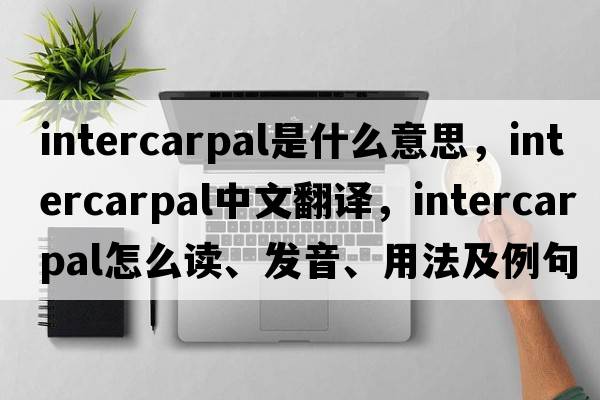 intercarpal是什么意思，intercarpal中文翻译，intercarpal怎么读、发音、用法及例句