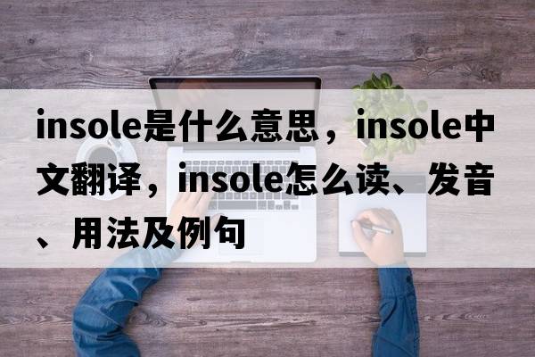 insole是什么意思，insole中文翻译，insole怎么读、发音、用法及例句